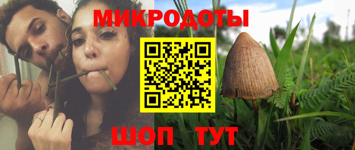 Псилоцибиновые грибы GOLDEN TEACHER Майкоп