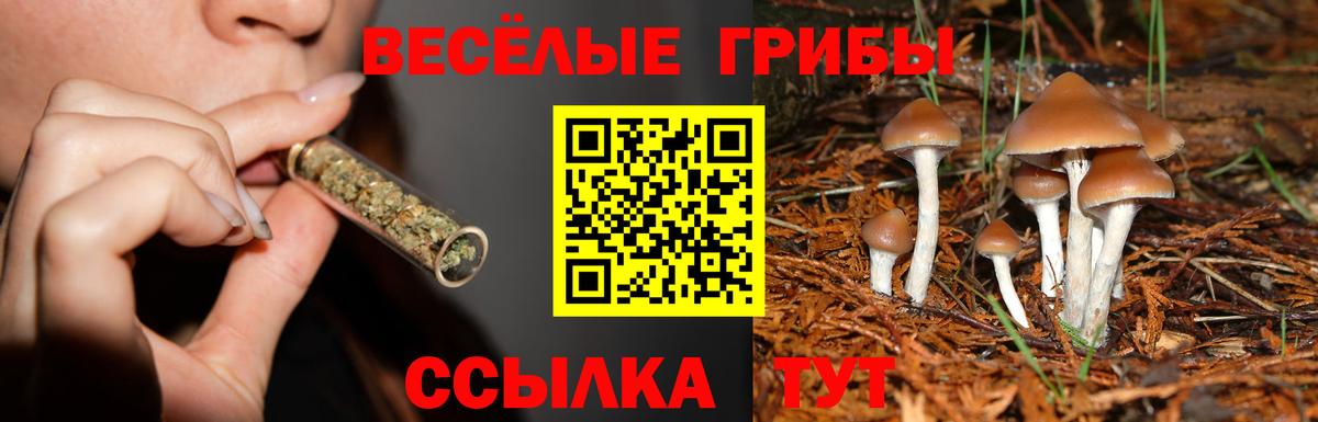 Майкоп  Галлюциногенные грибы Magic Shrooms  Псилоцибиновые грибы Psilocybe  Вход с VPN 